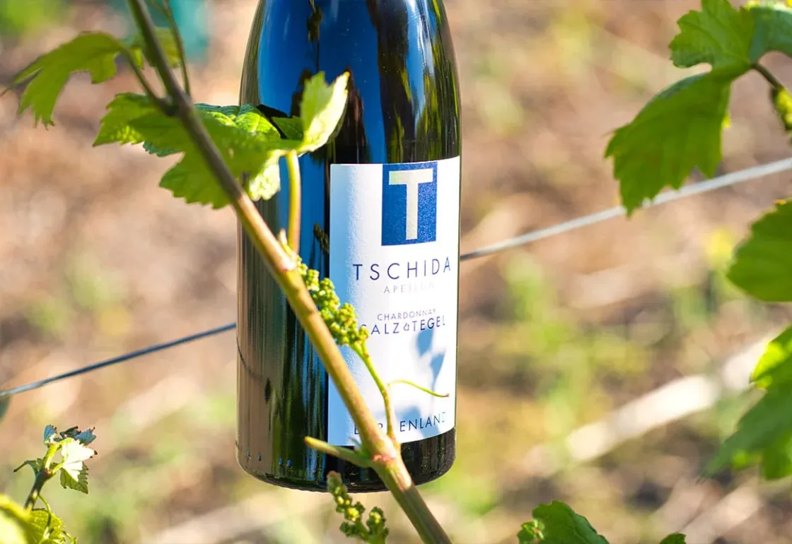 Weingut Tschida — Design-Entwurf · Weingut, Webdesign-Projekt von Christopher Rapp